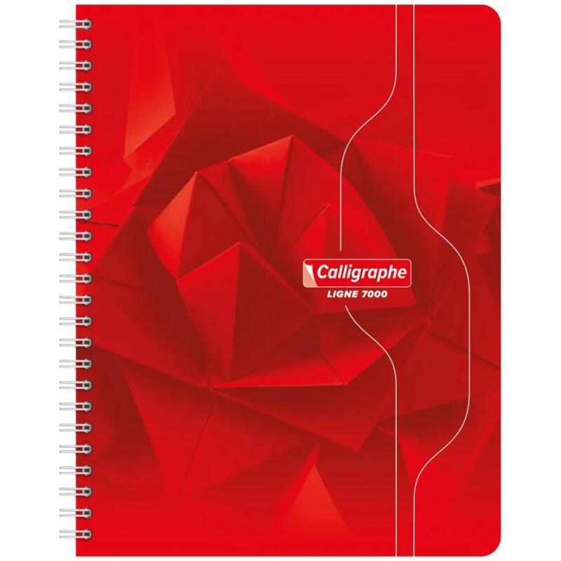 Cahier reliure intégrale 7000 17x22 cm 100 pages petits carreaux 70 g - Assortis