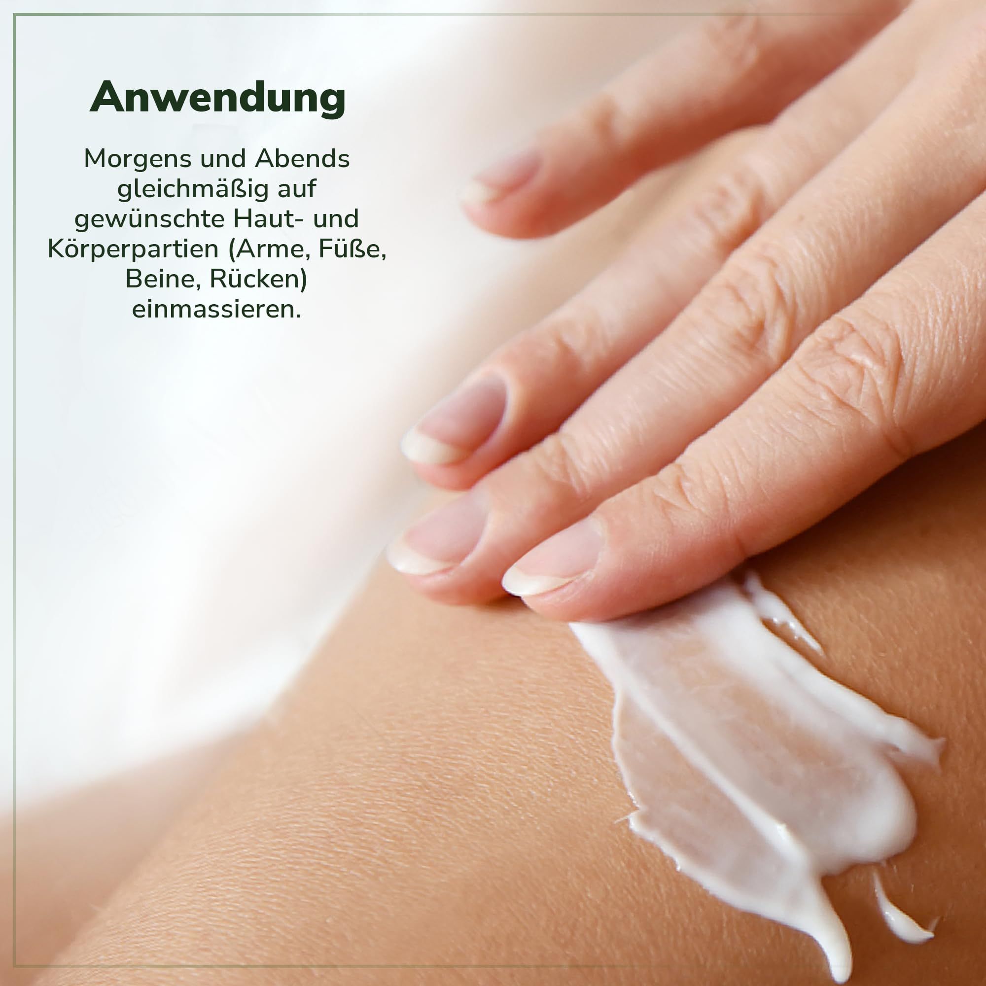 Kräutermax Salbe Beinwell plus