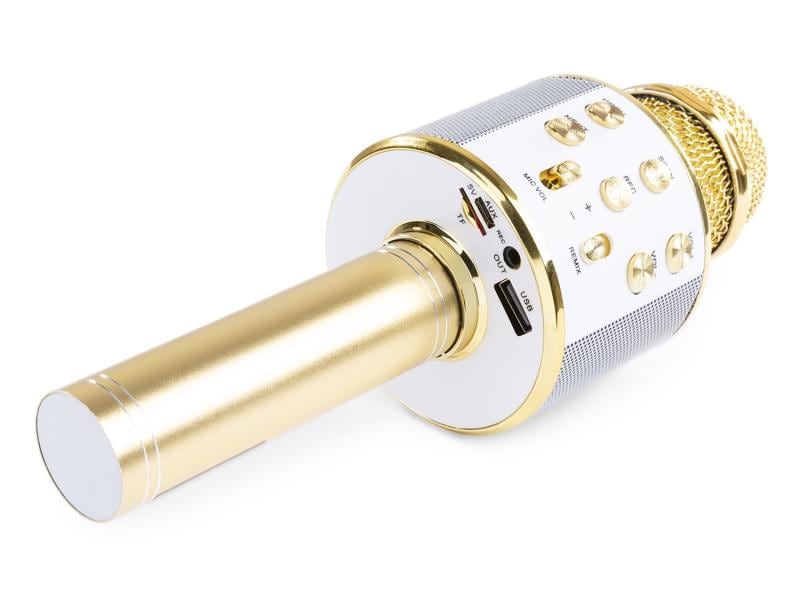 MAX Mikrofon KM01G Gold Karaoke Mikrofon mit eingebautem Lautsprecher