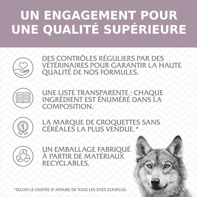 Wolf of Wilderness Adulte Wild Hills, canard