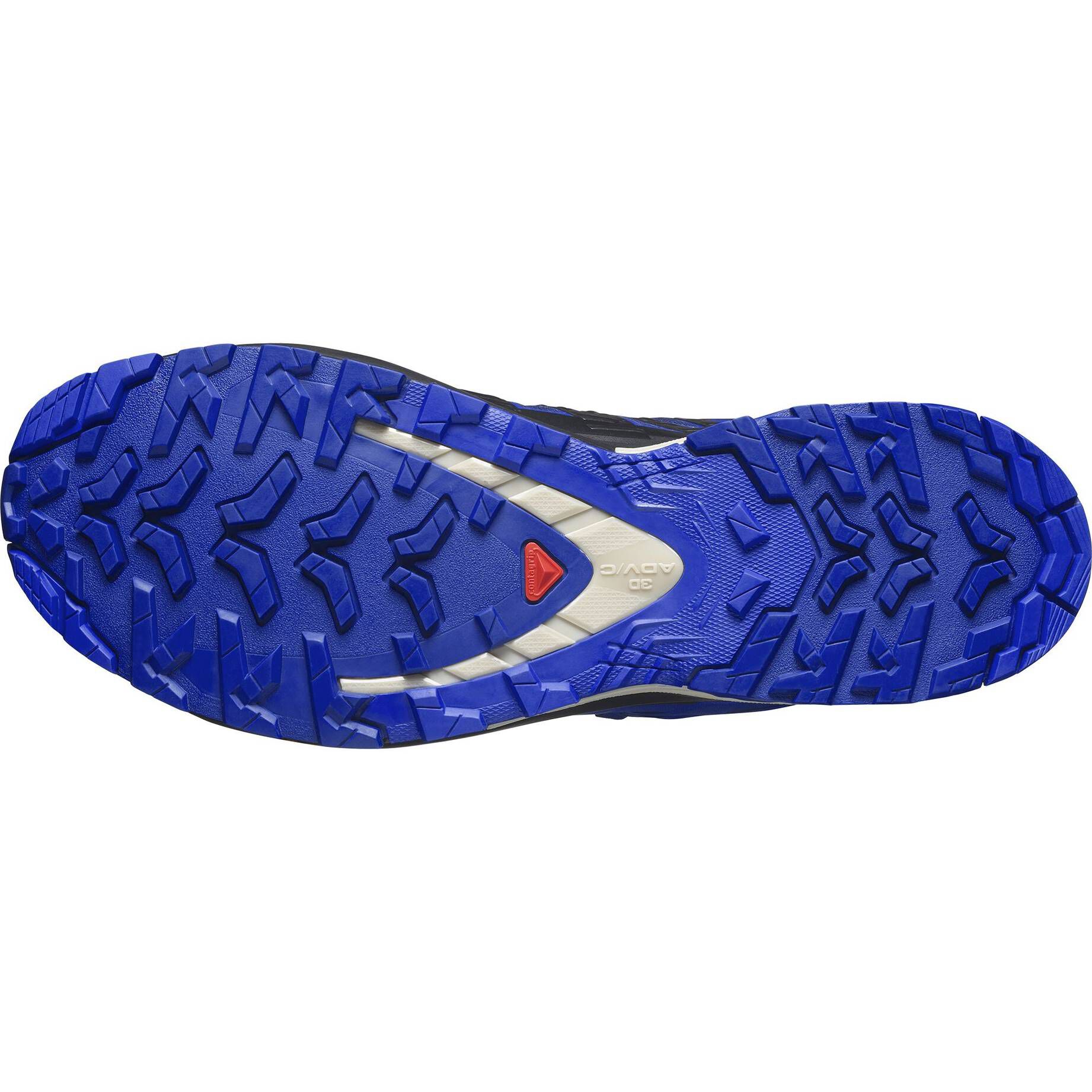 Salomon| Herren Laufschuhe XA PRO 3D V9 GORE-TEX