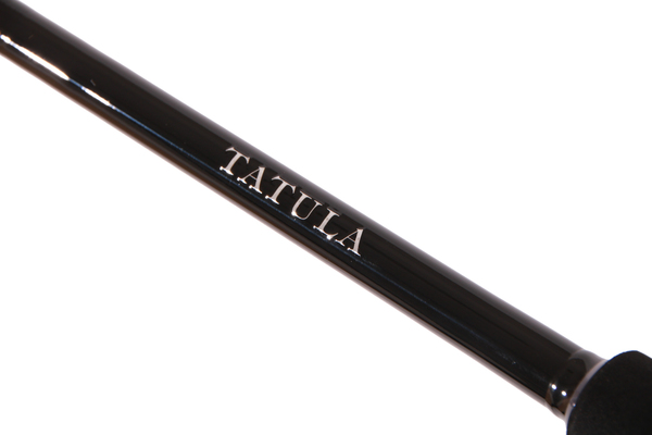 Canne spinning Daiwa Tatula XT Spin