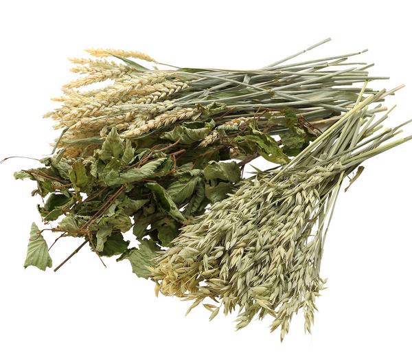 Dehner Best Nature Hafer, 75 g
