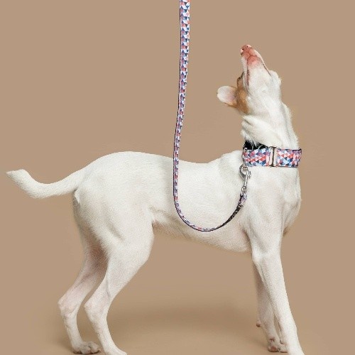 Guia de nylon multiposições Baona para cães, multicolorida