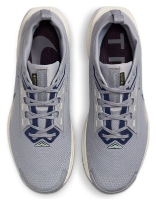 Chaussures Trail Nike Pegasus Trail 5 GTX Gris Homme