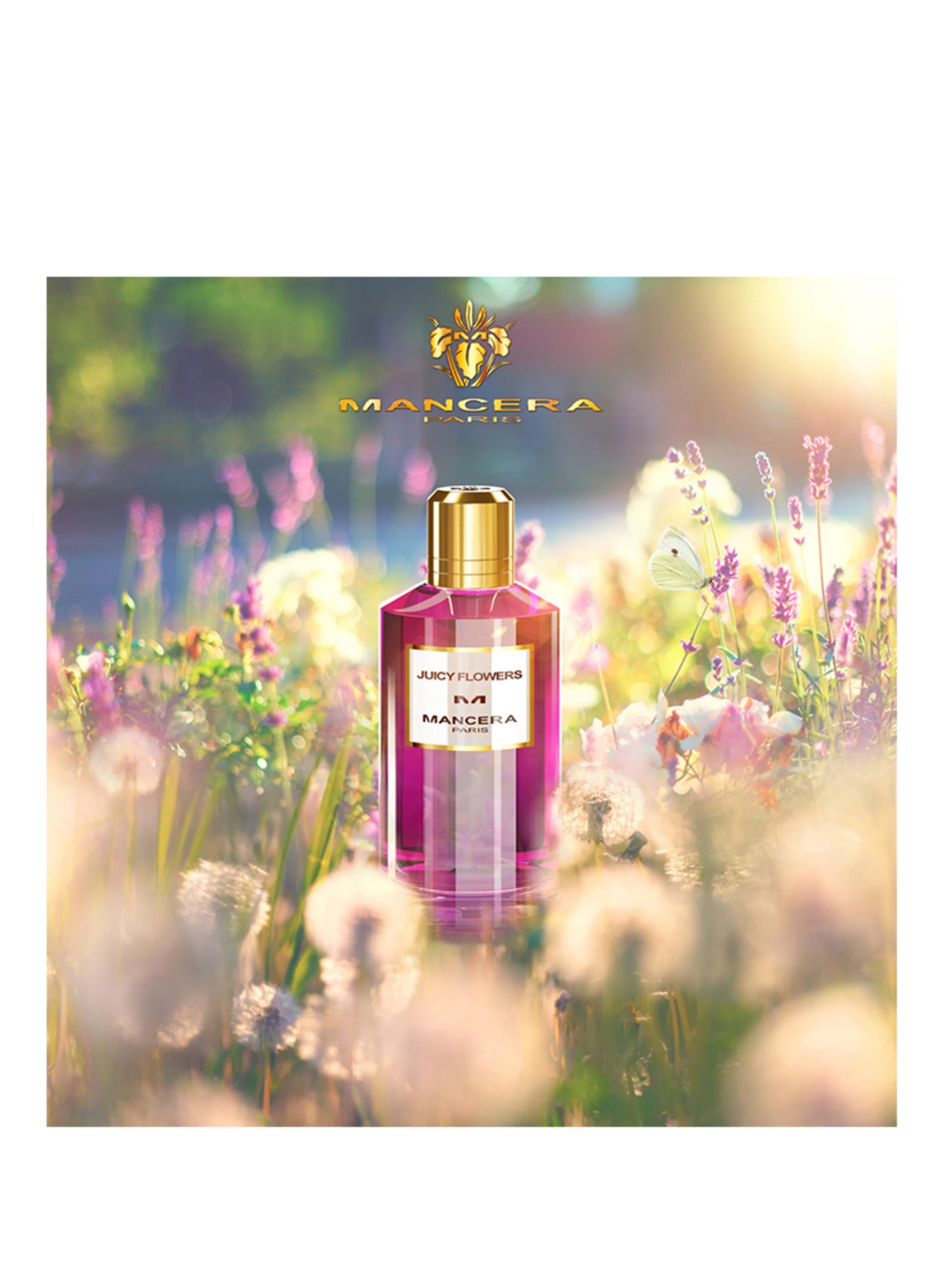 MANCERA JUICY FLOWERS