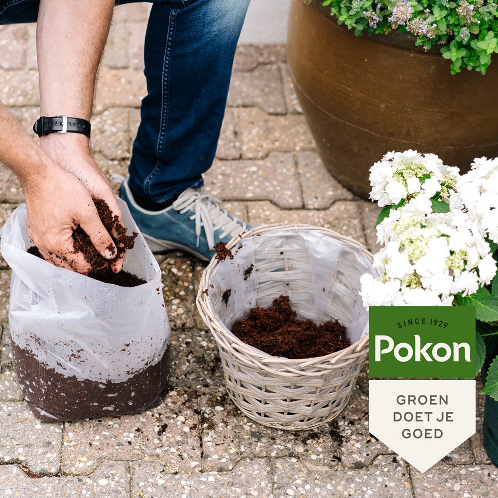 Pokon kokos compact 10 L