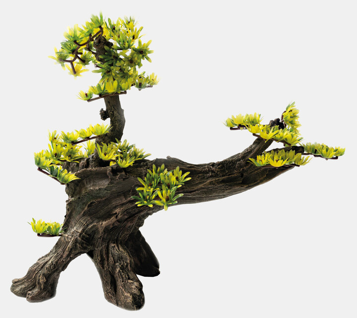 Superfish Deco Bonsai L | Aquarium decoratie