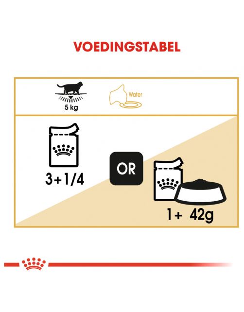 Royal Canin British Shorthair Adult Natvoer - Kattenvoer - 85 g