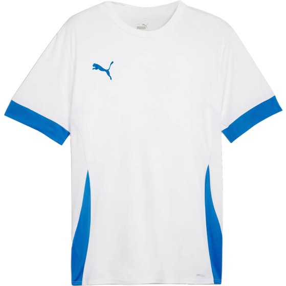 Puma GOAL Training Shirt