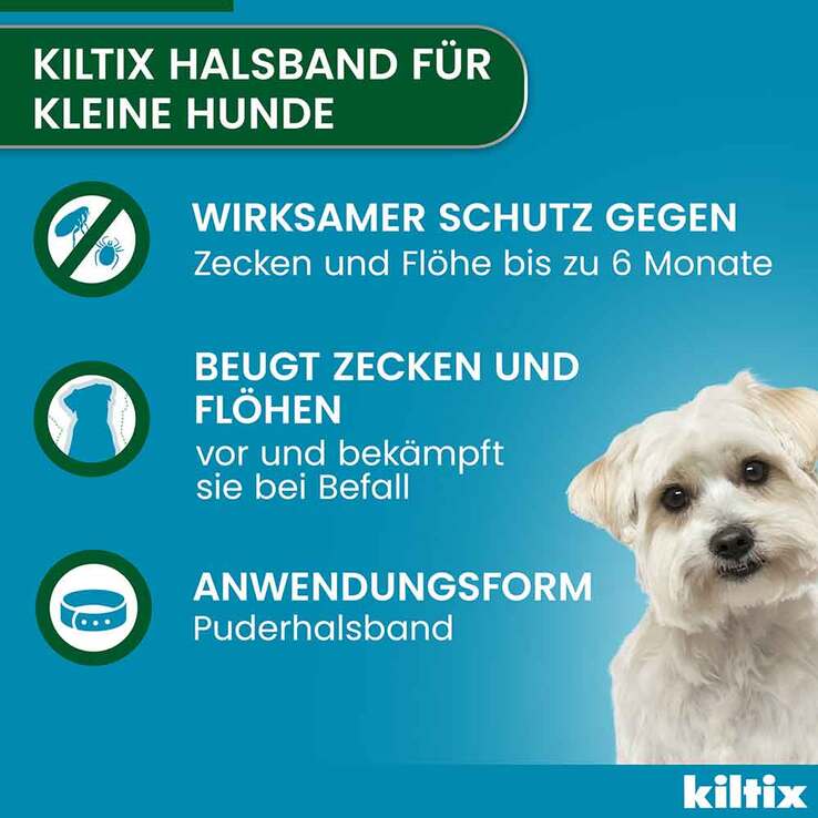 Kiltix für kleine Hunde Halsband, 1 St