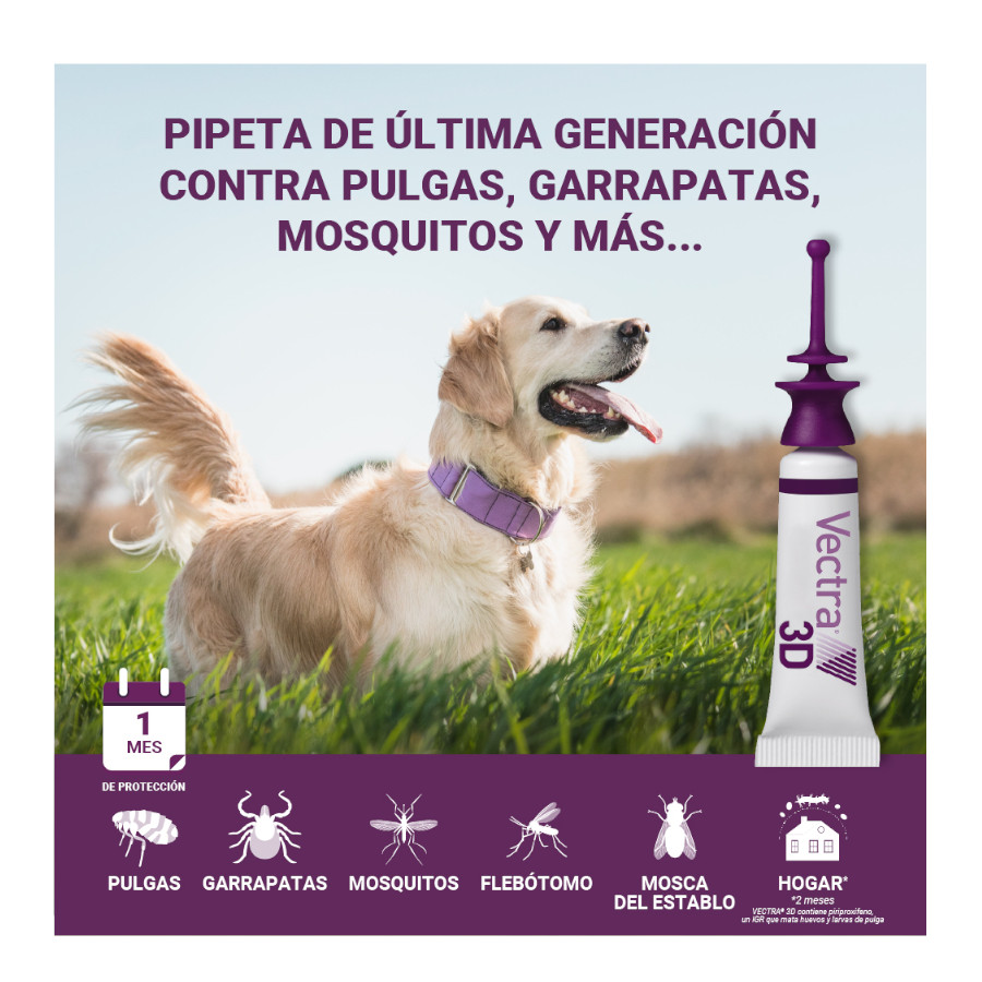 Pipetas antiparasitárias Vectra 3D para cães