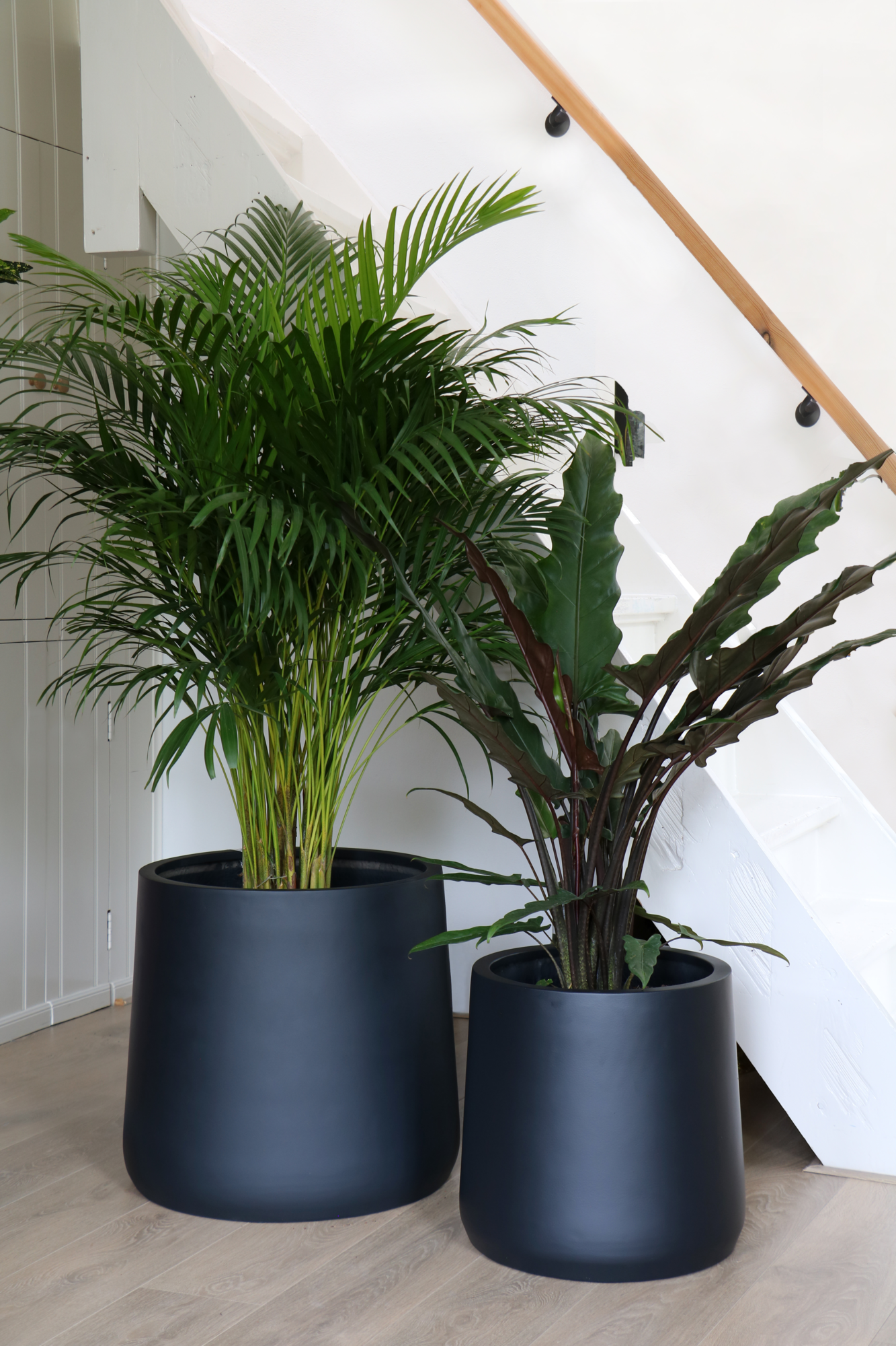 Plantenpot Portland black Ø42 x H40cm