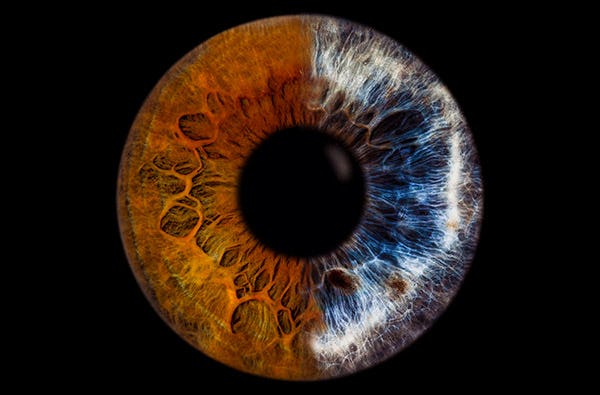 Iris Fotoshooting Haiger