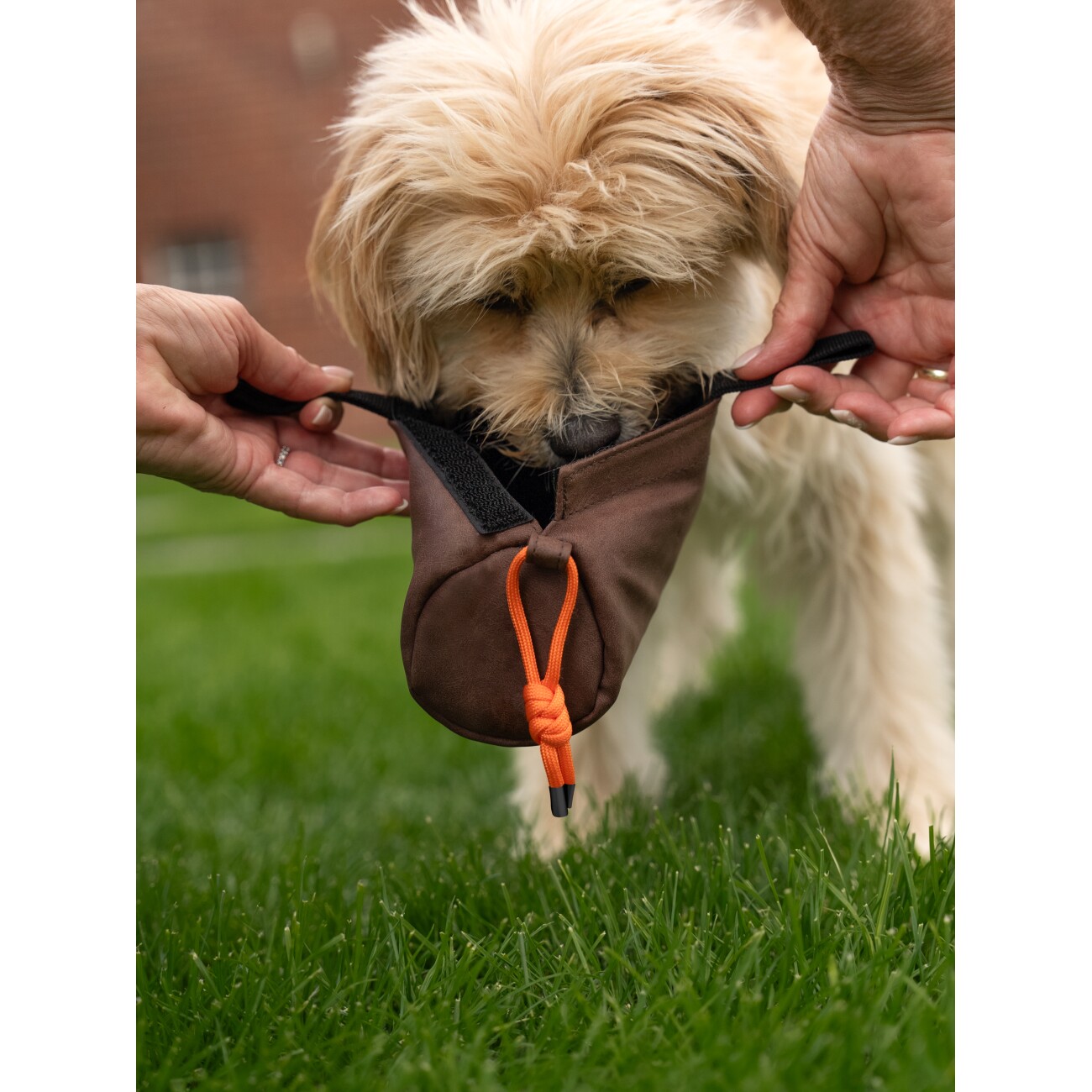 TrendPet KURT Futterdummy braun S