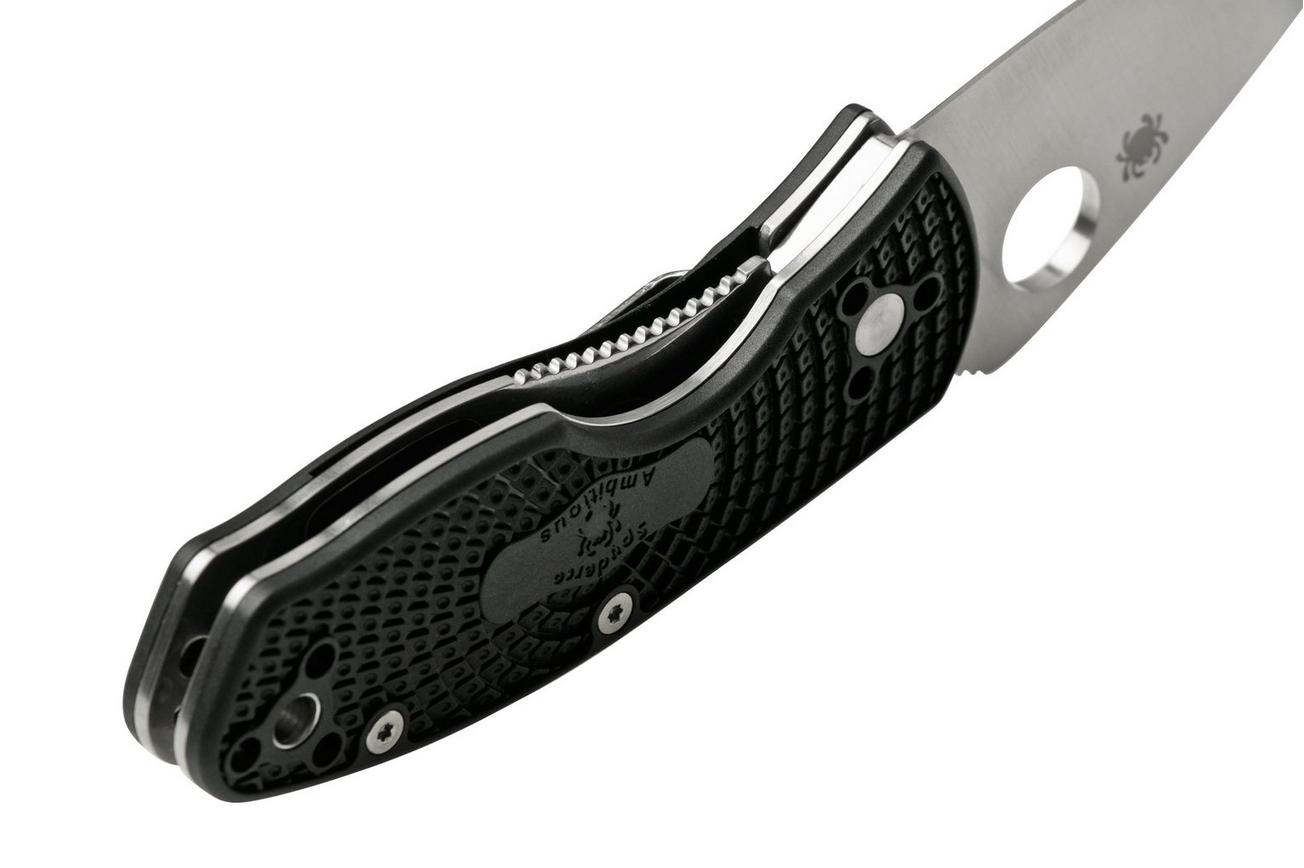 Spyderco Ambitious Lightweight C148PBK, zakmes