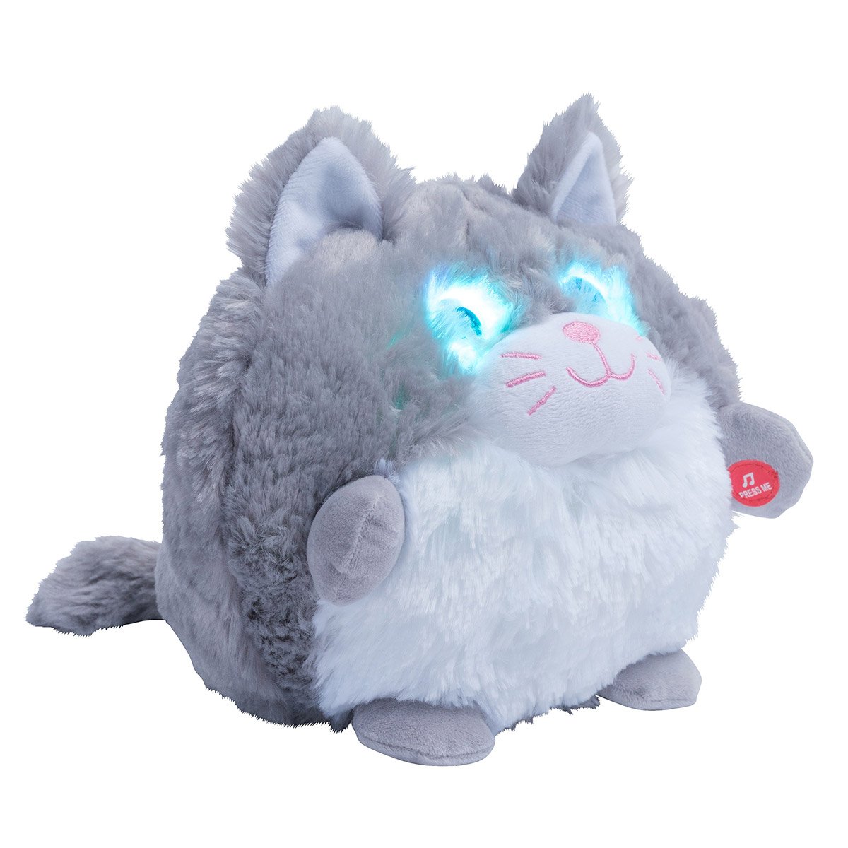 Chat rigolo
