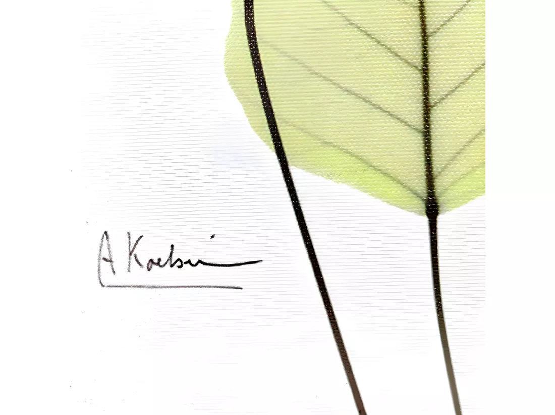 Tableau dessin feuilles sur cadre en bois noir 40x40 cm - LEAF