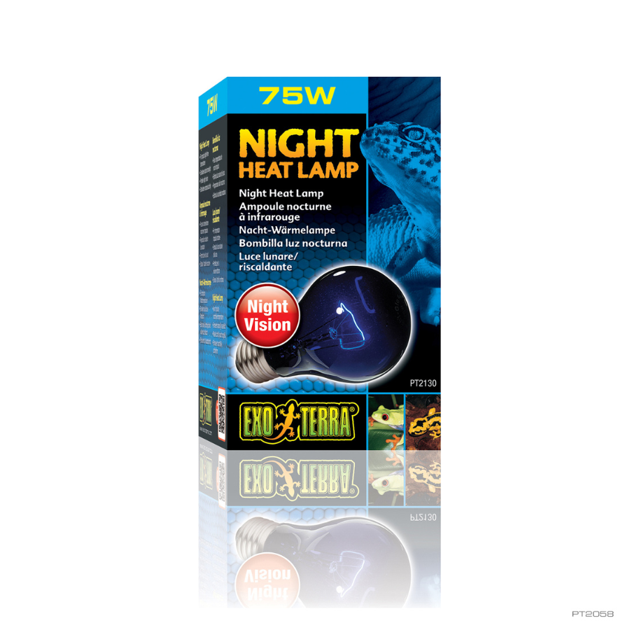 Lâmpada incandescente Exo-Terra Night Glo