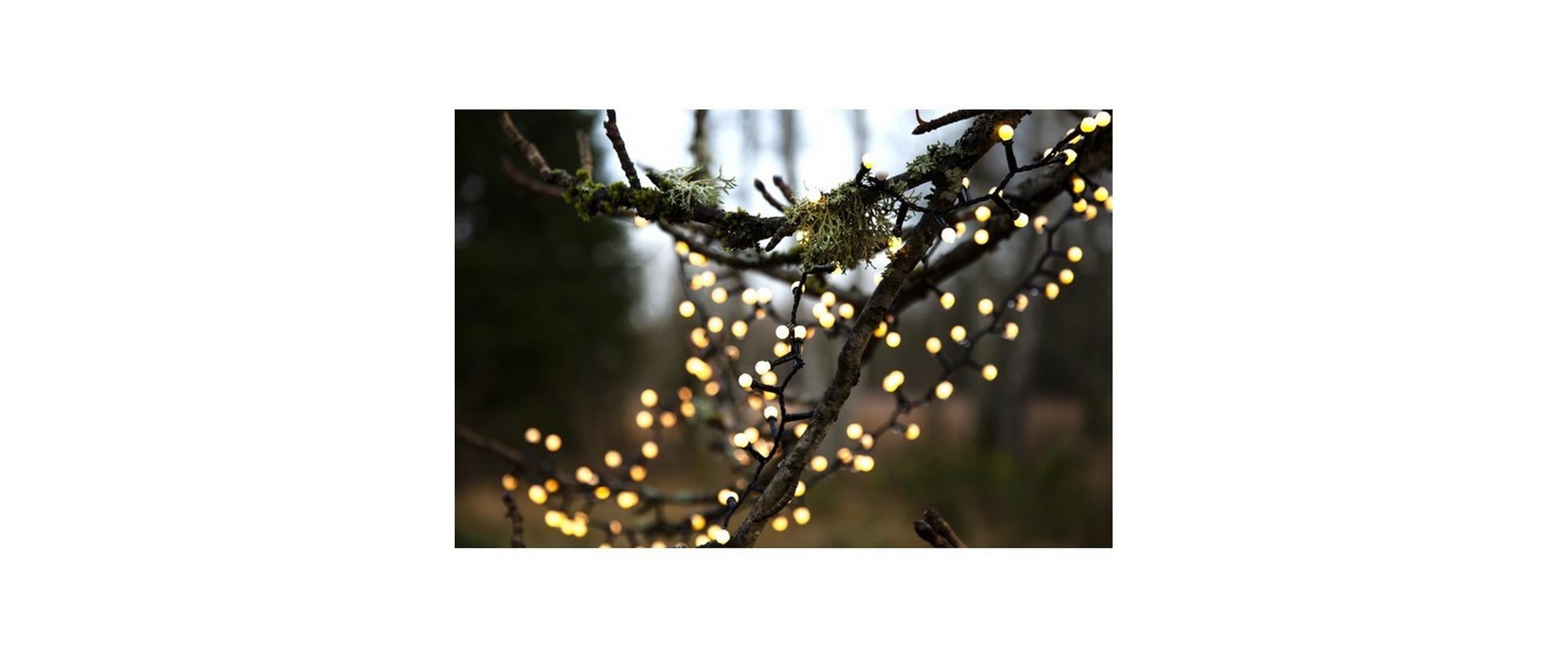 LED-Lichterkette Berry Mini, 700 LED, 14 m, OutdoorWeihnachtslichterkette