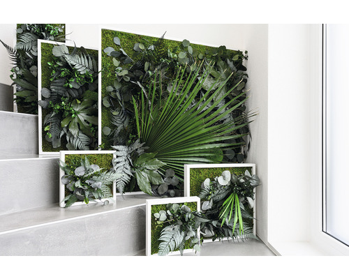 Plantenfoto jungle design lijst wit 80x80 cm