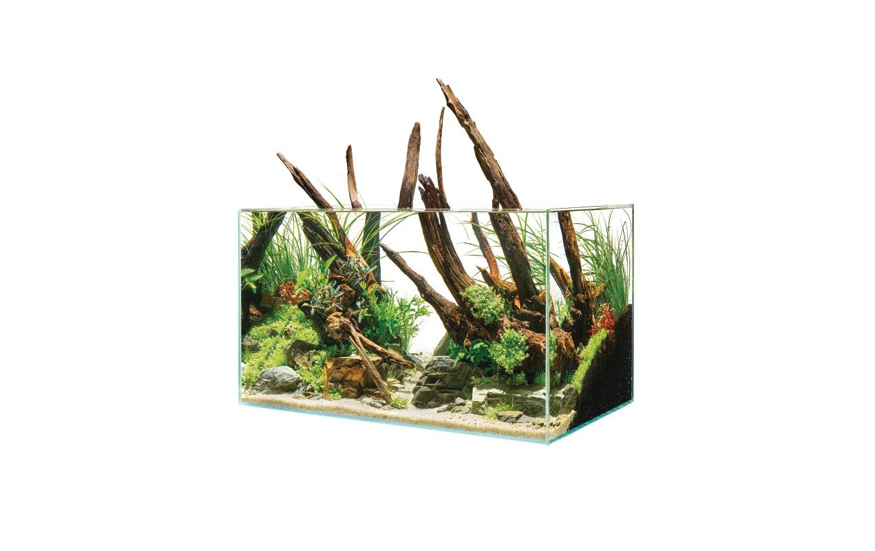 Aquarium ScaperLine 60, 75 l<br>ScaperLine Aquarien aus Optiwhite-Glas