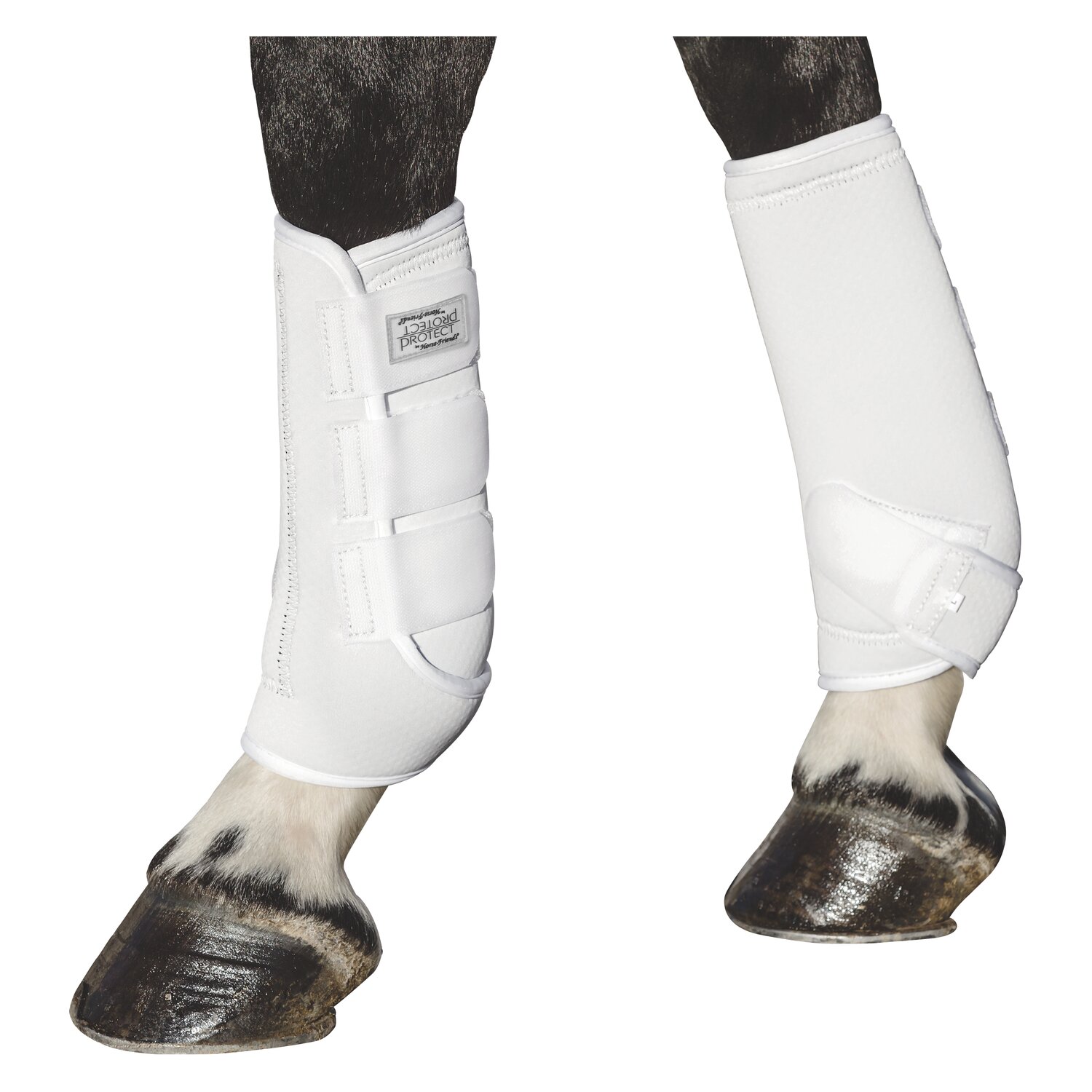 PROTECT by Horse-Friends Gamaschen Montreal  - white