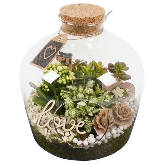 Terrarium, bouchon liège
