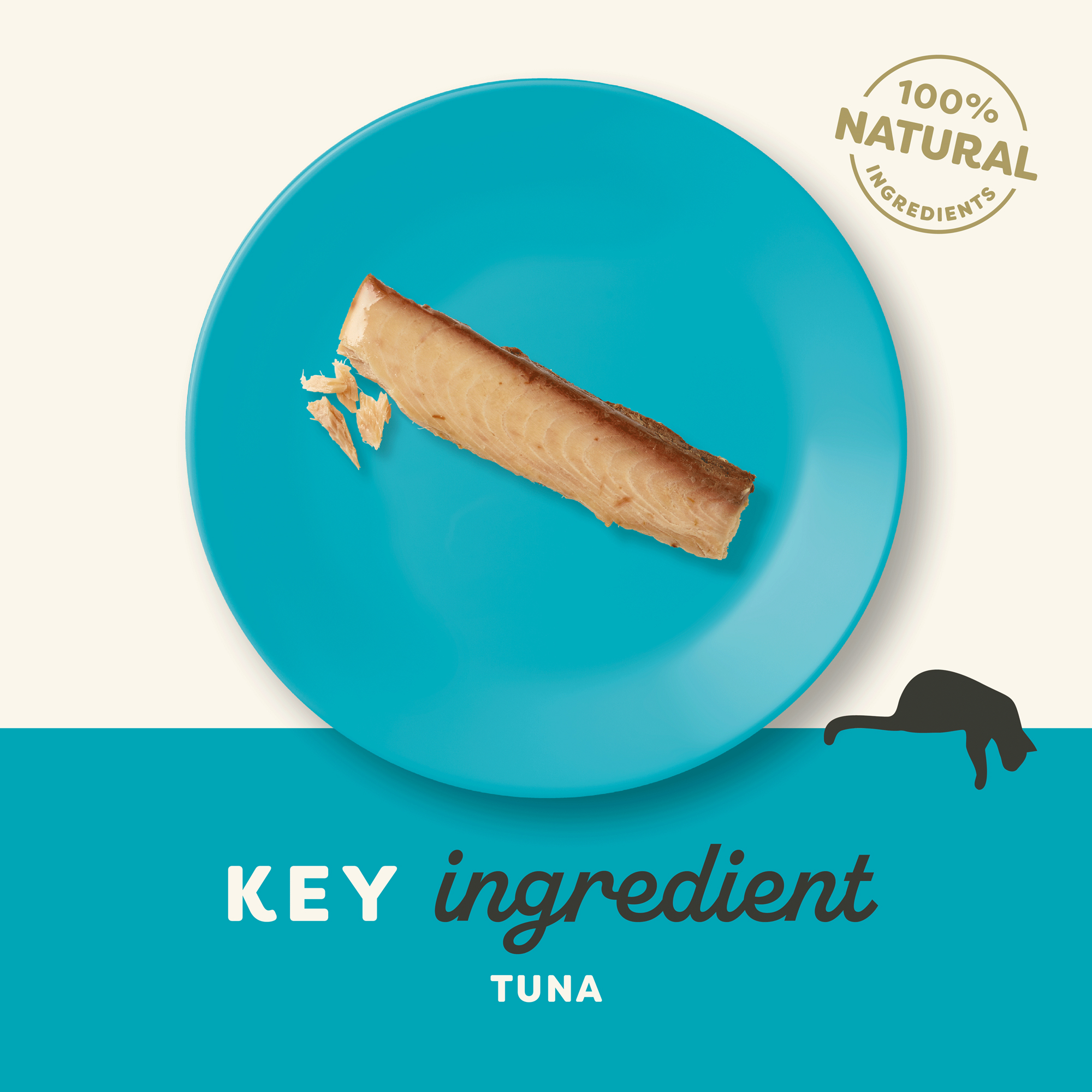 Applaws Cat - Tuna Loin