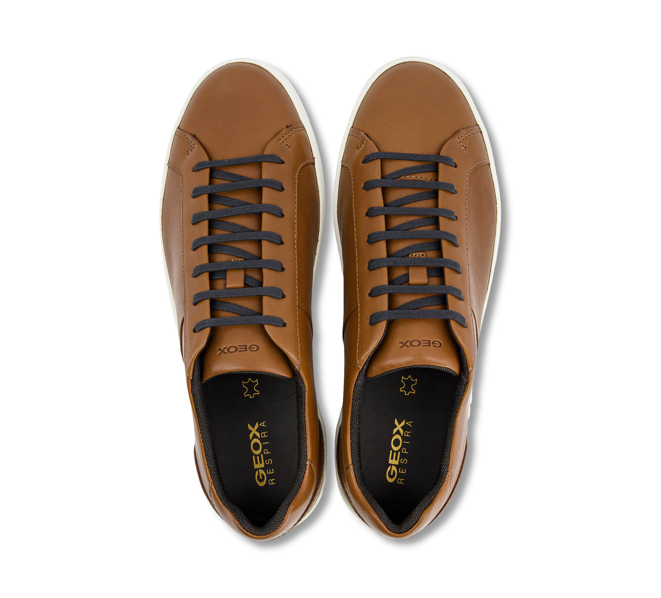 Geox Regio braun