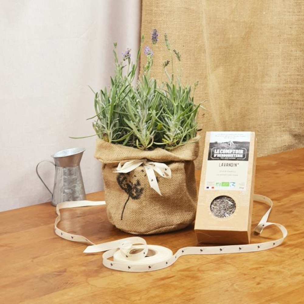 Coffret d'une lavande, avec son infusion de lavandin bio