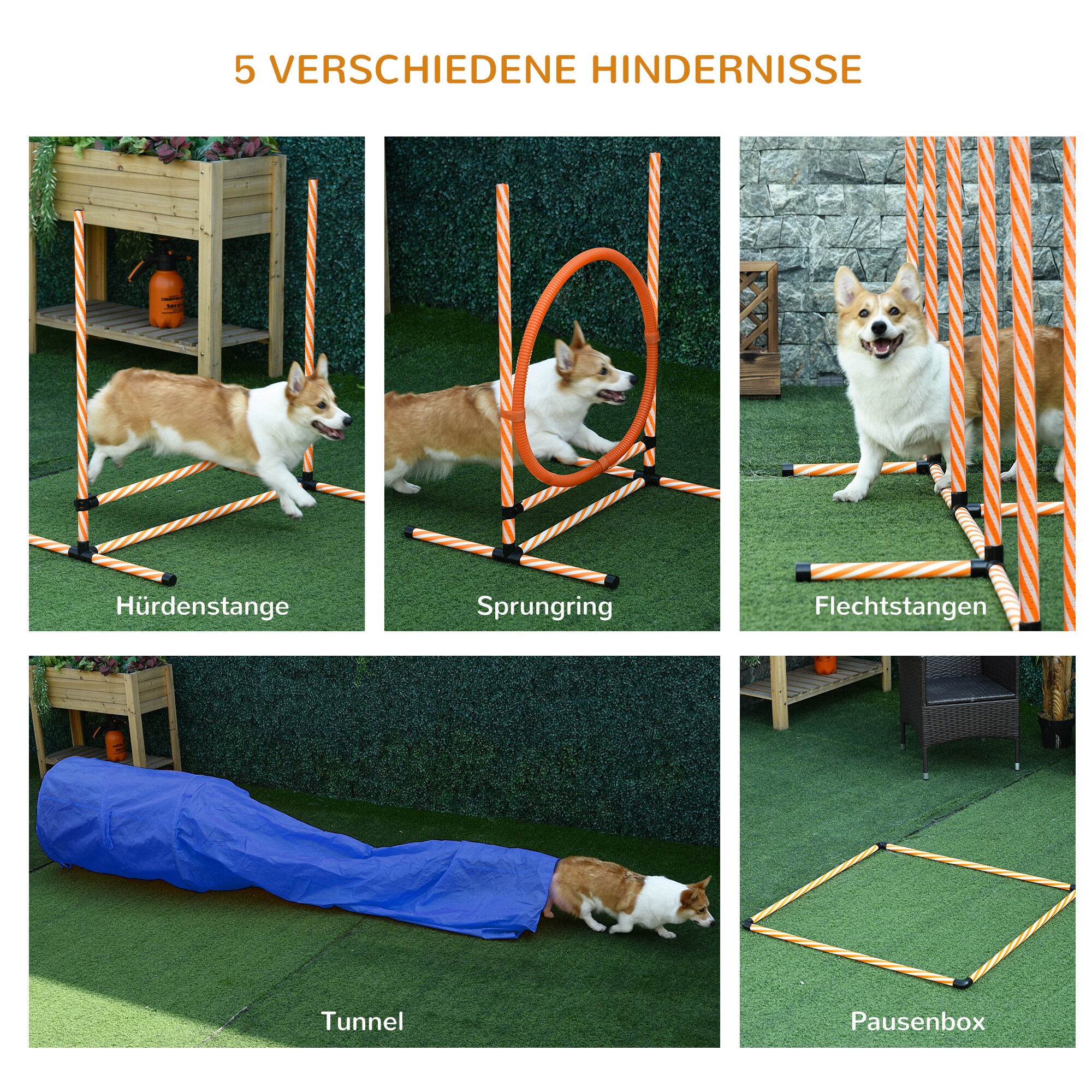 PawHut Hunde Agility Set 5-teilig orange, weiß 328 x 67 x 93 cm (LxBxH)
