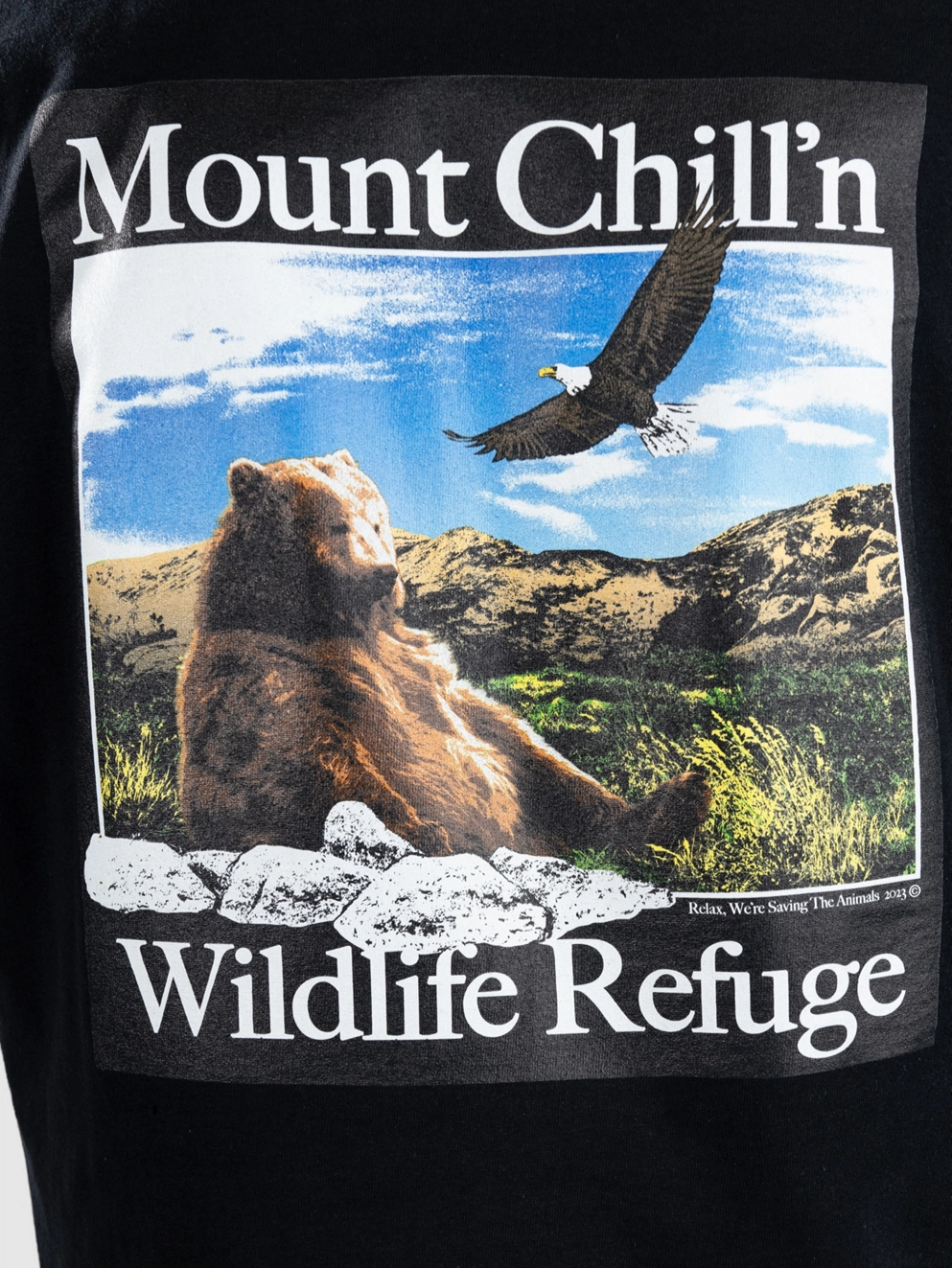 Dravus Mountain Chillin BT T-Shirt black