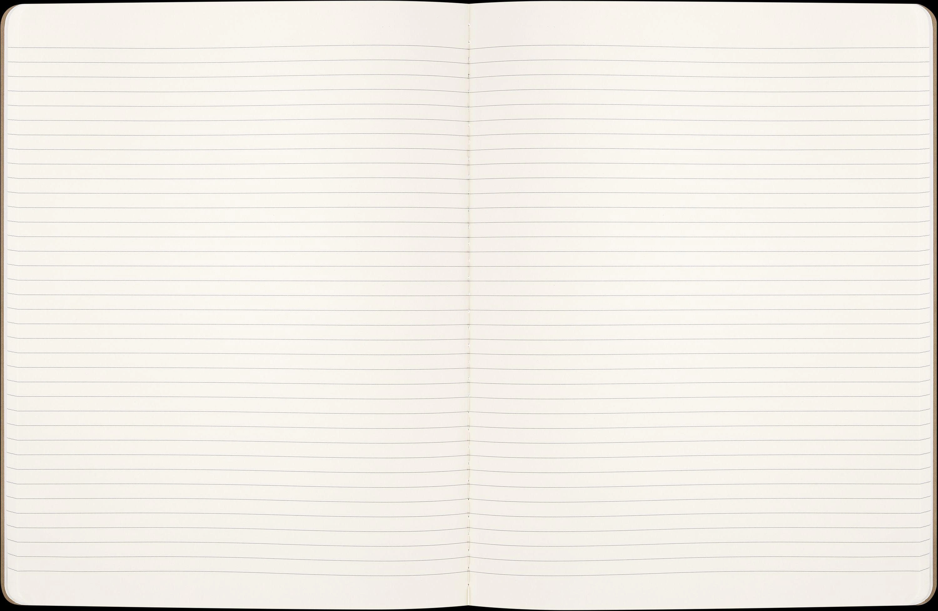 Moleskine Harry Potter Wingdarium Cahier, XL