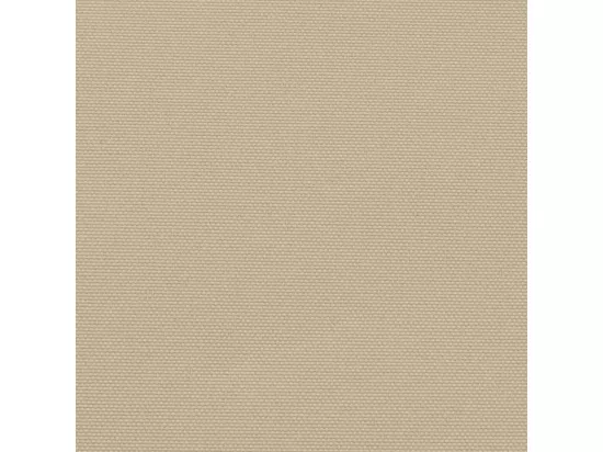 Auvent latéral rétractable beige 160x300 cm