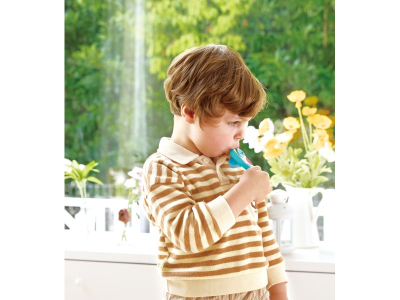Hape Musikspielzeug Kinder-Kazoo Ideal, um Kindern Musik zu erklären