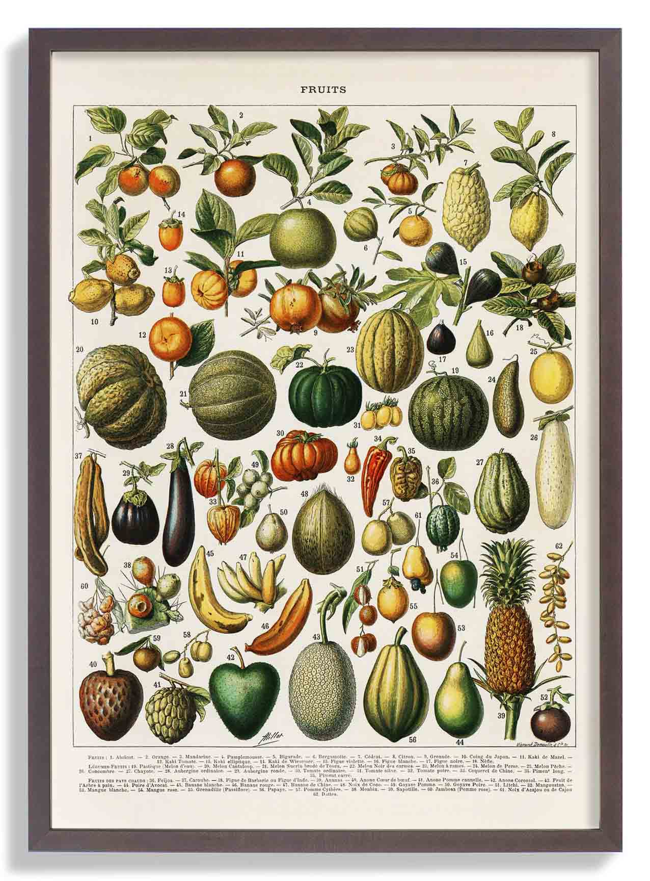 Früchte und Hülsenfrüchte antik von Adolphe Millot