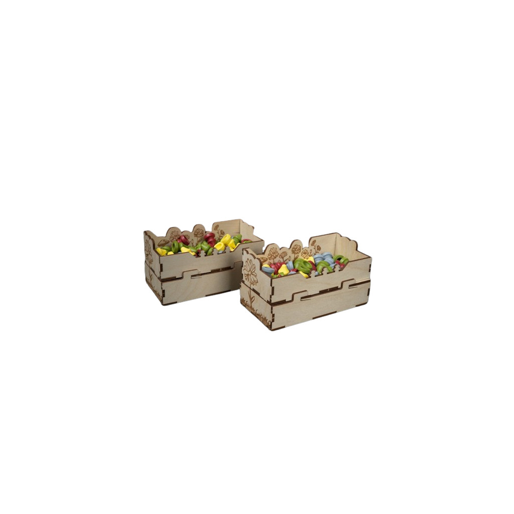 Rangement pour Boîte LaserOx - Earth