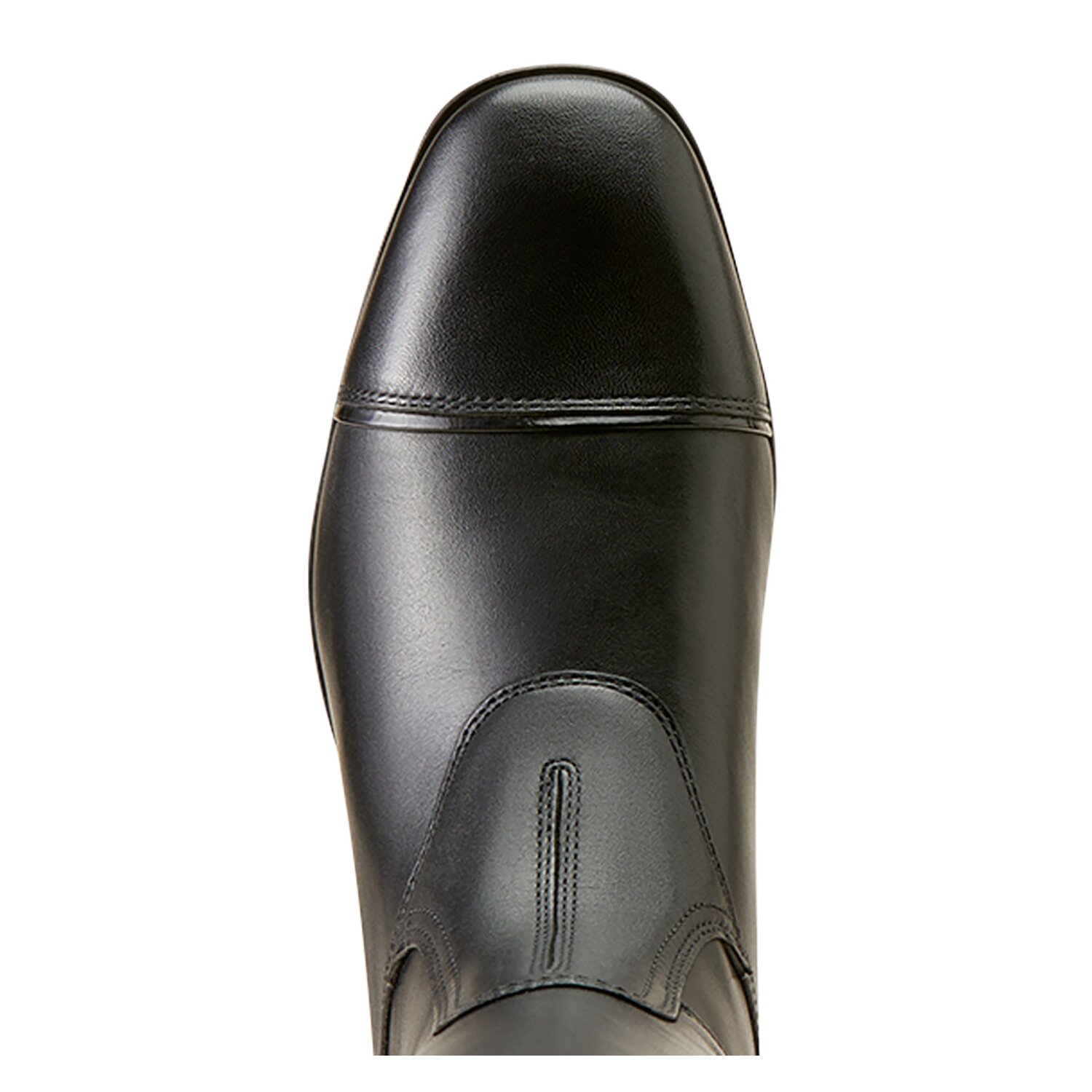 ARIAT Reitstiefel Palisade Show  - black/croco