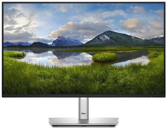 Dell P2425H - Monitor - 24 inch - 1920x1080 (FHD) - 100Hz - IPS