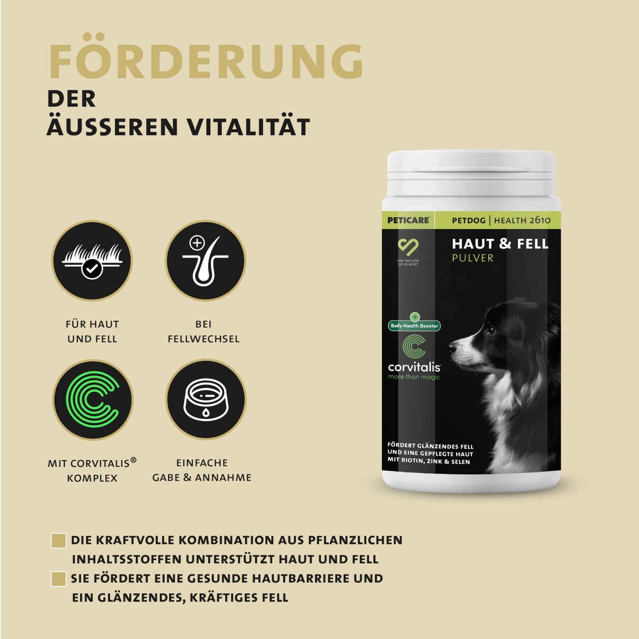 Peticare Ergänzungsfutter Fell & Haut Pulver für Hunde 125g