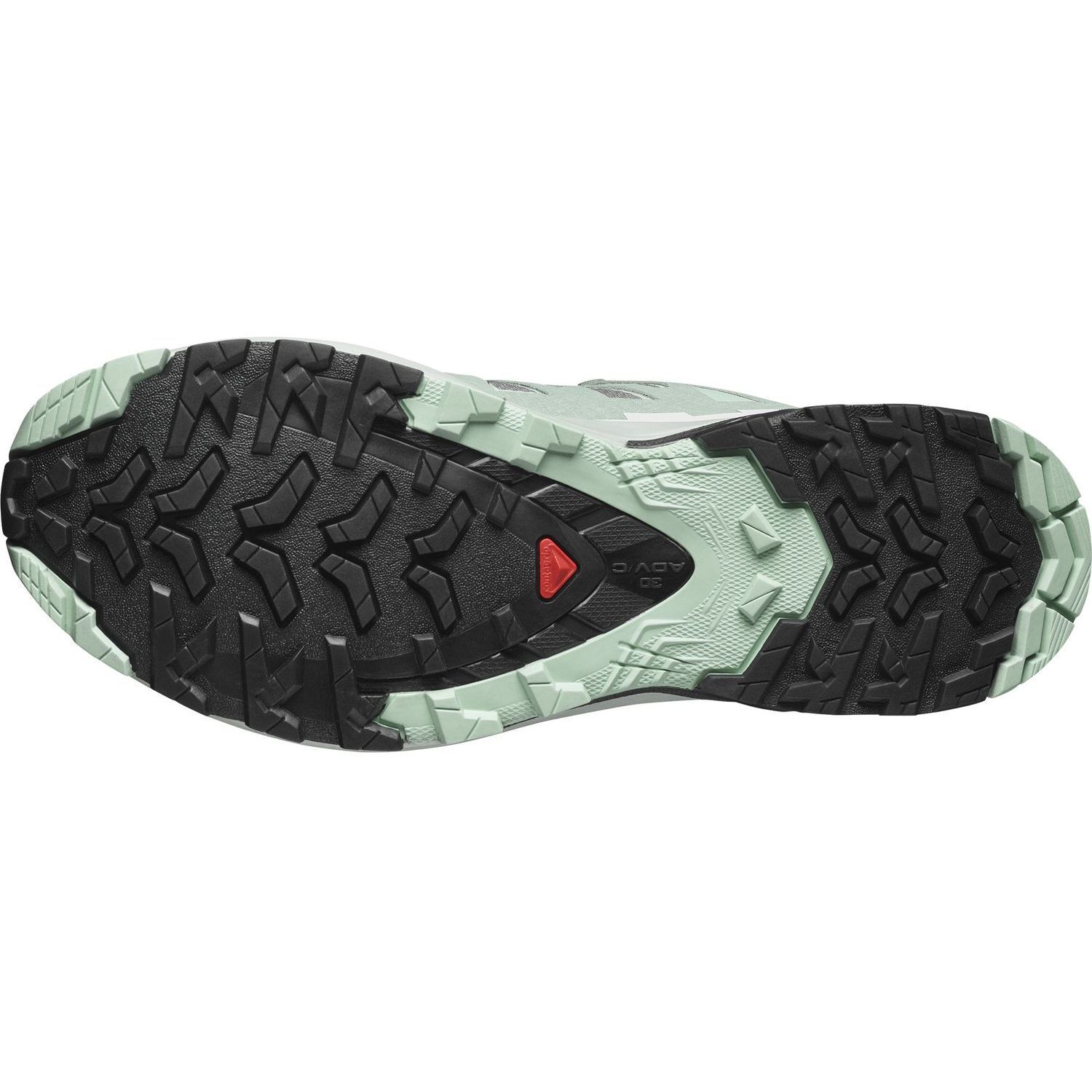 SalomonXA PRO 3D V9 GTX W