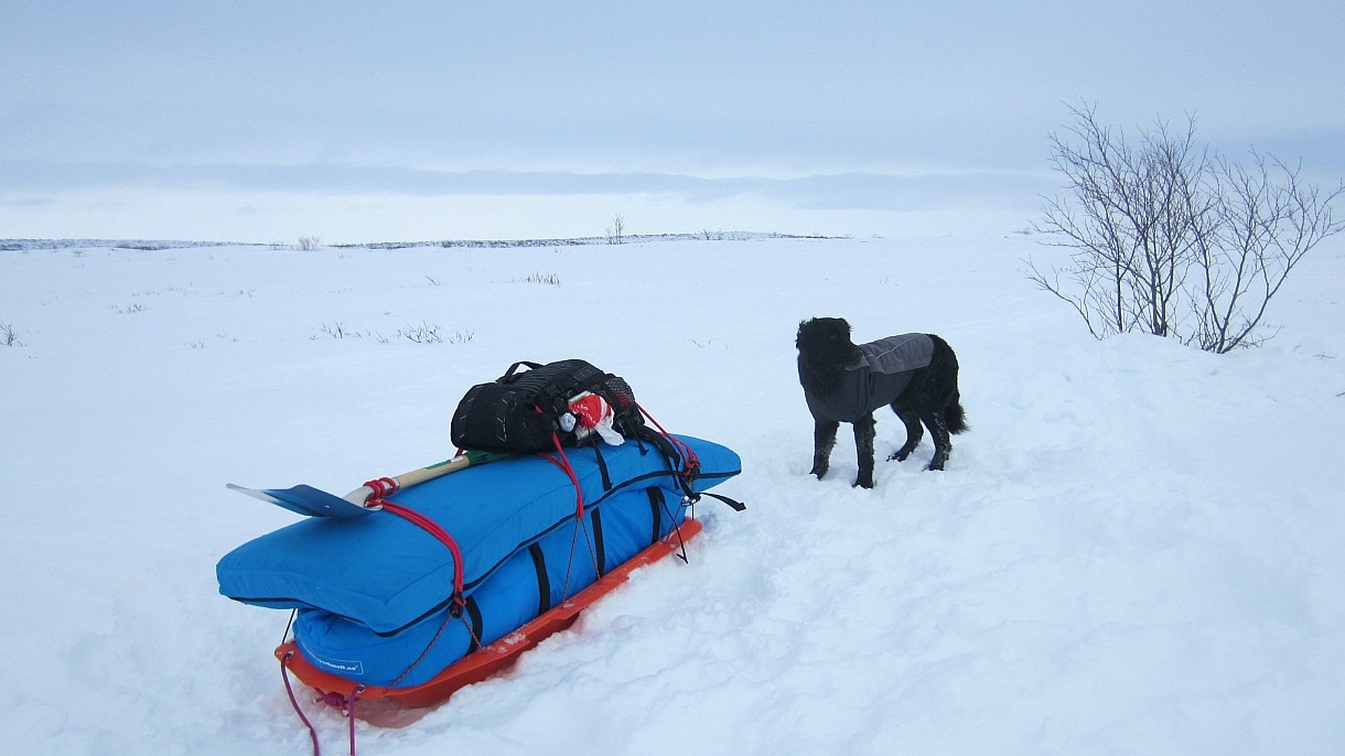 Kjøp Piteraq Arctic Bedding HD fra Hekta På Tur