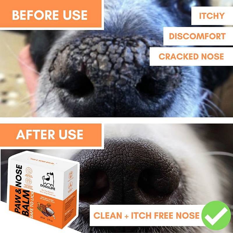 DogsLife Paw & Nose Balm Hond 60 ml | 12991