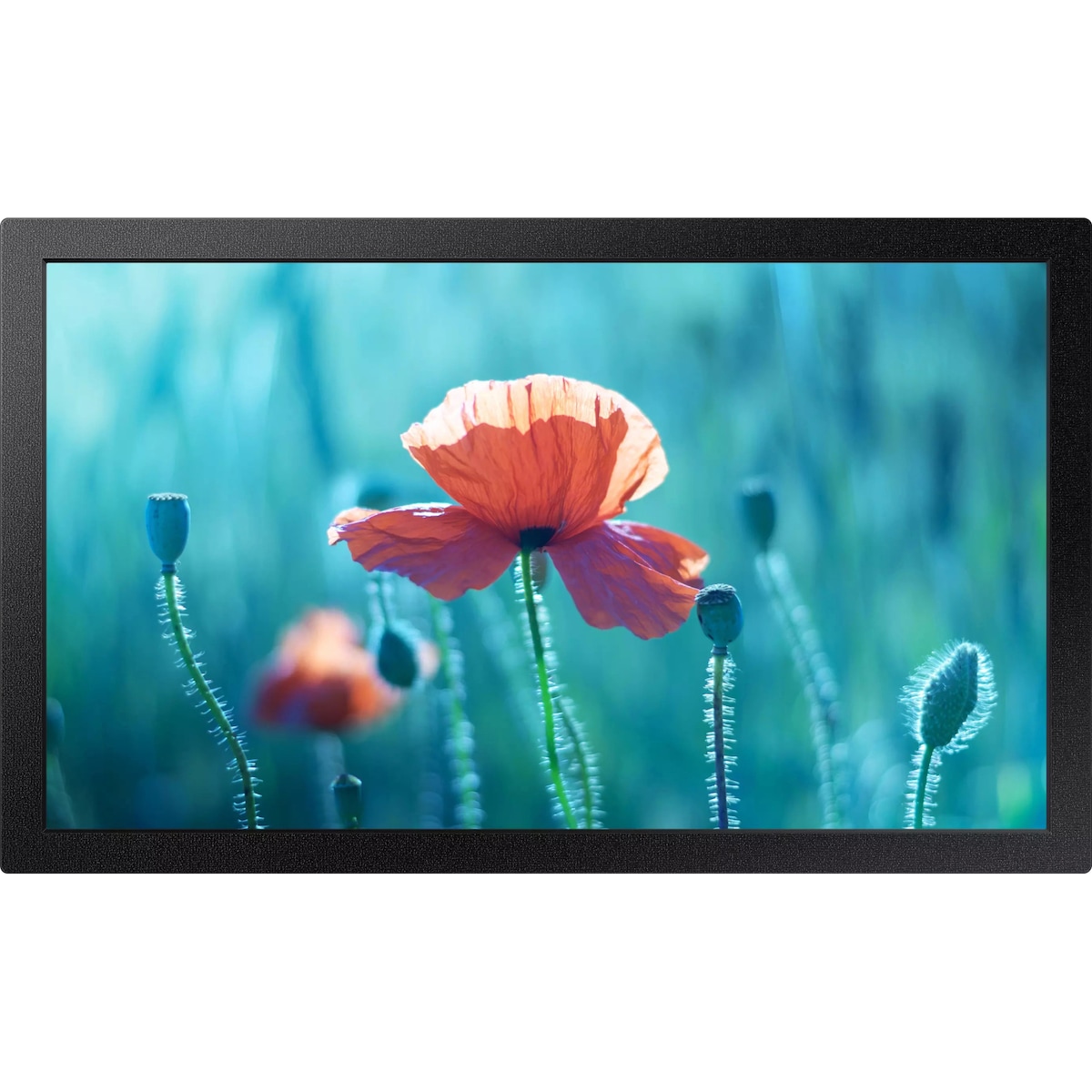 Samsung 13