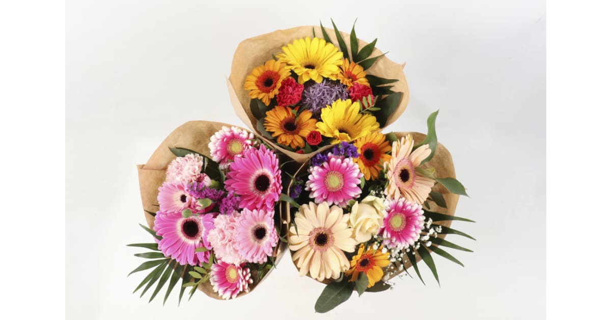 Tulpen Strauß Strauß der Woche