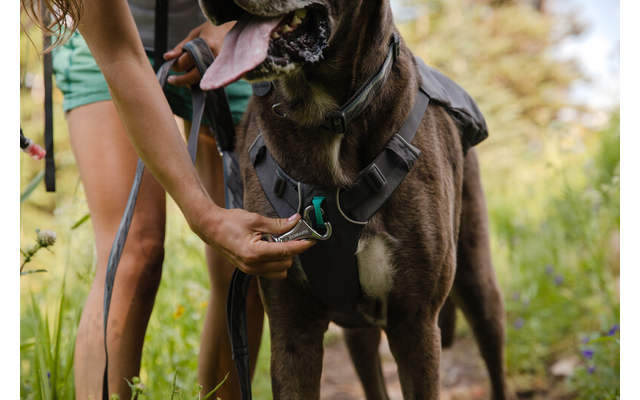 Ruffwear Switchbak Hundegeschirr Granite Gray