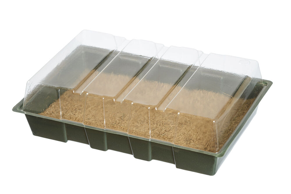 Nature - Mini Kweekkas met kokosmat 35,5x23,5x11 cm - Groen - 5.8x35.5x7.5 cm