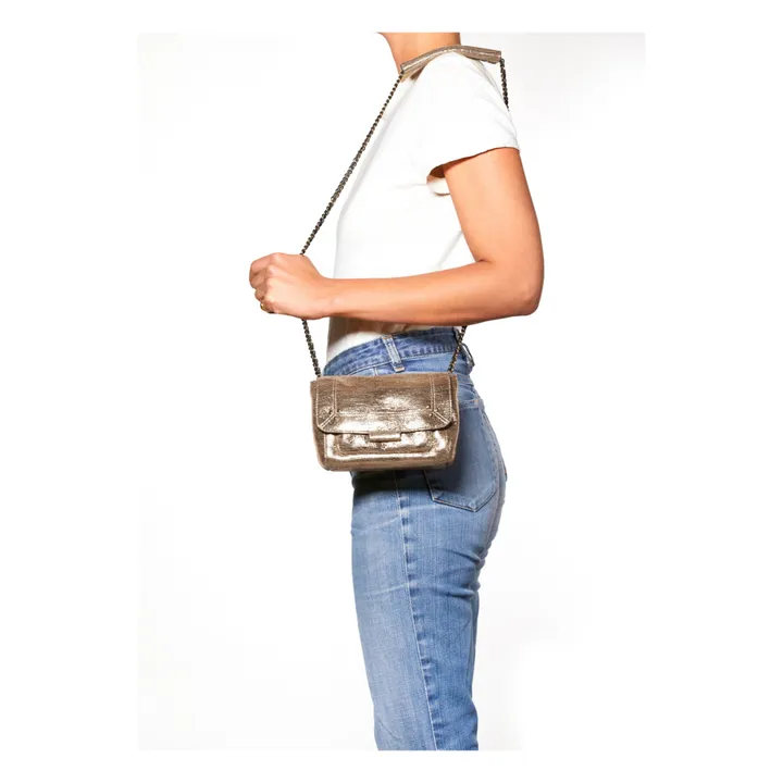 Jérôme Dreyfuss Sac Lulu S Lamé | Champagne