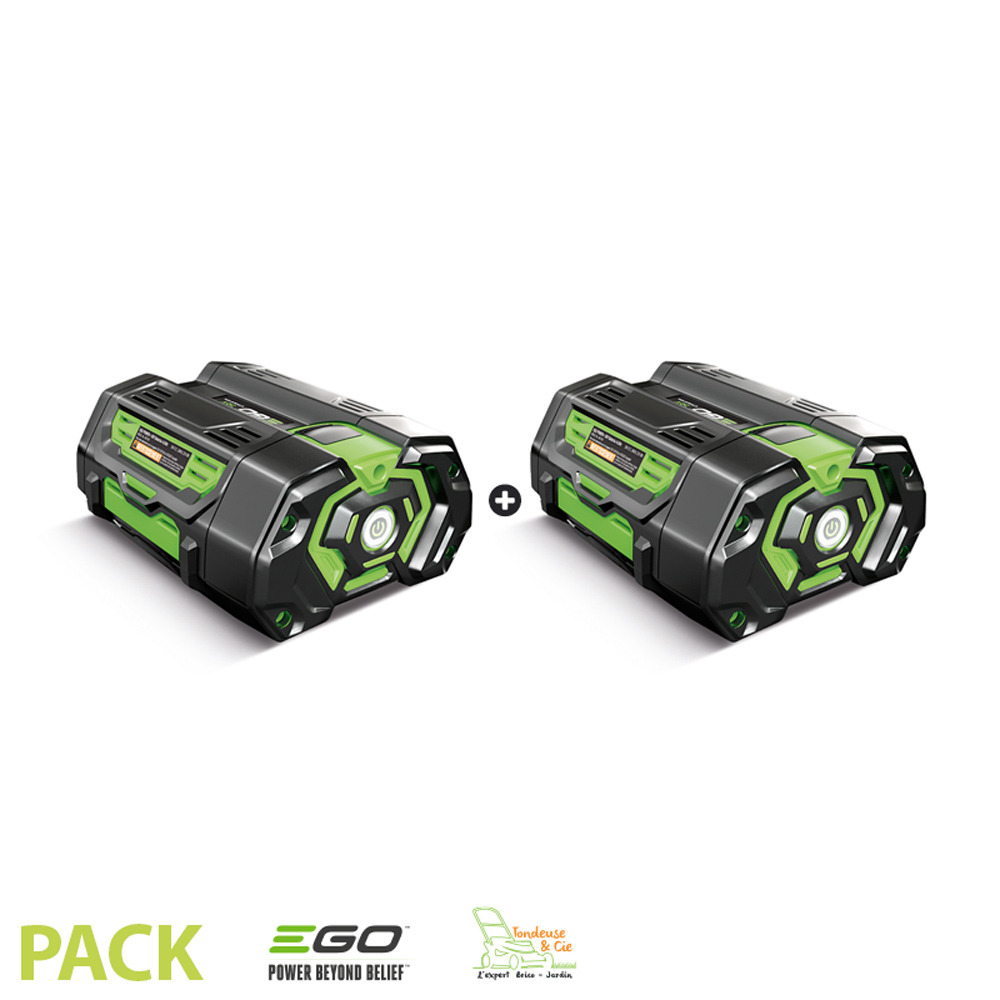 Lot de 2 batteries 4ah pour outil de jardin sans fil egopower